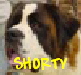 SHORTY SHORTY