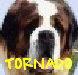 TORNADO TORNADO