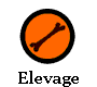 Elevage