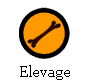 Elevage