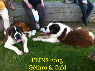 FLINS 2013
Gthro & Cad