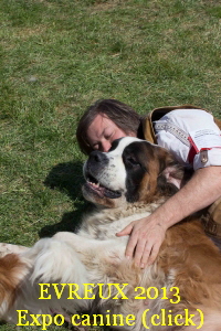 EVREUX 2013
Expo canine (click)