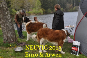 NEUVIC 2013
Enzo & Arwen
