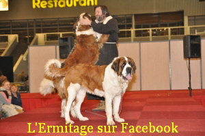 L'Ermitage sur Facebook