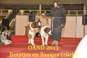GAND 2013
Beestjes en Baasjes (click)