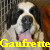 Gaufrette